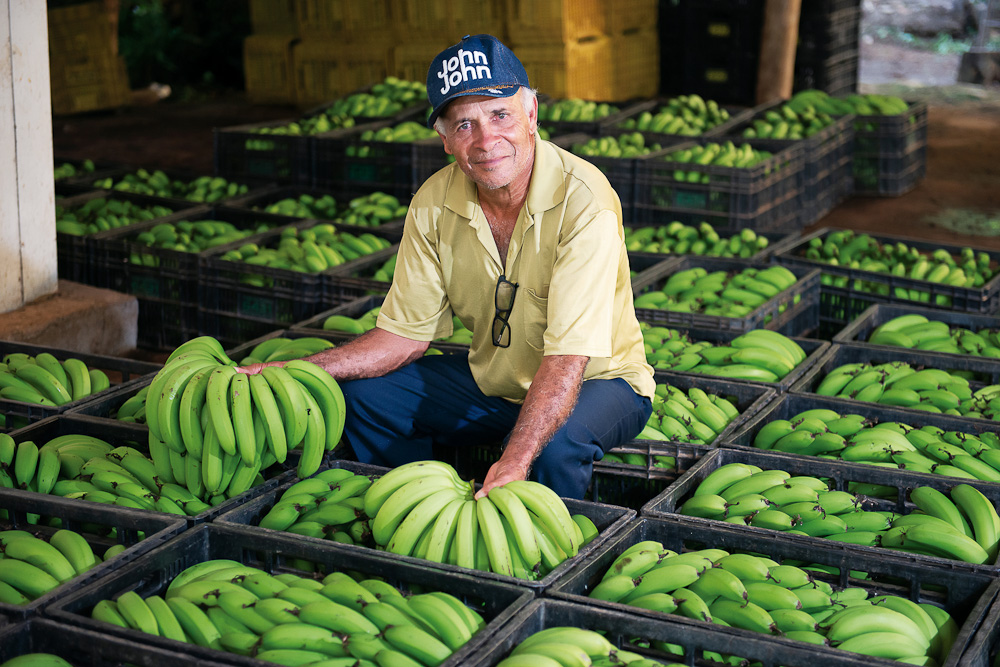 A Agricultura Familiar não é “tech”, não é “pop” – Revista Caminhos Gerais