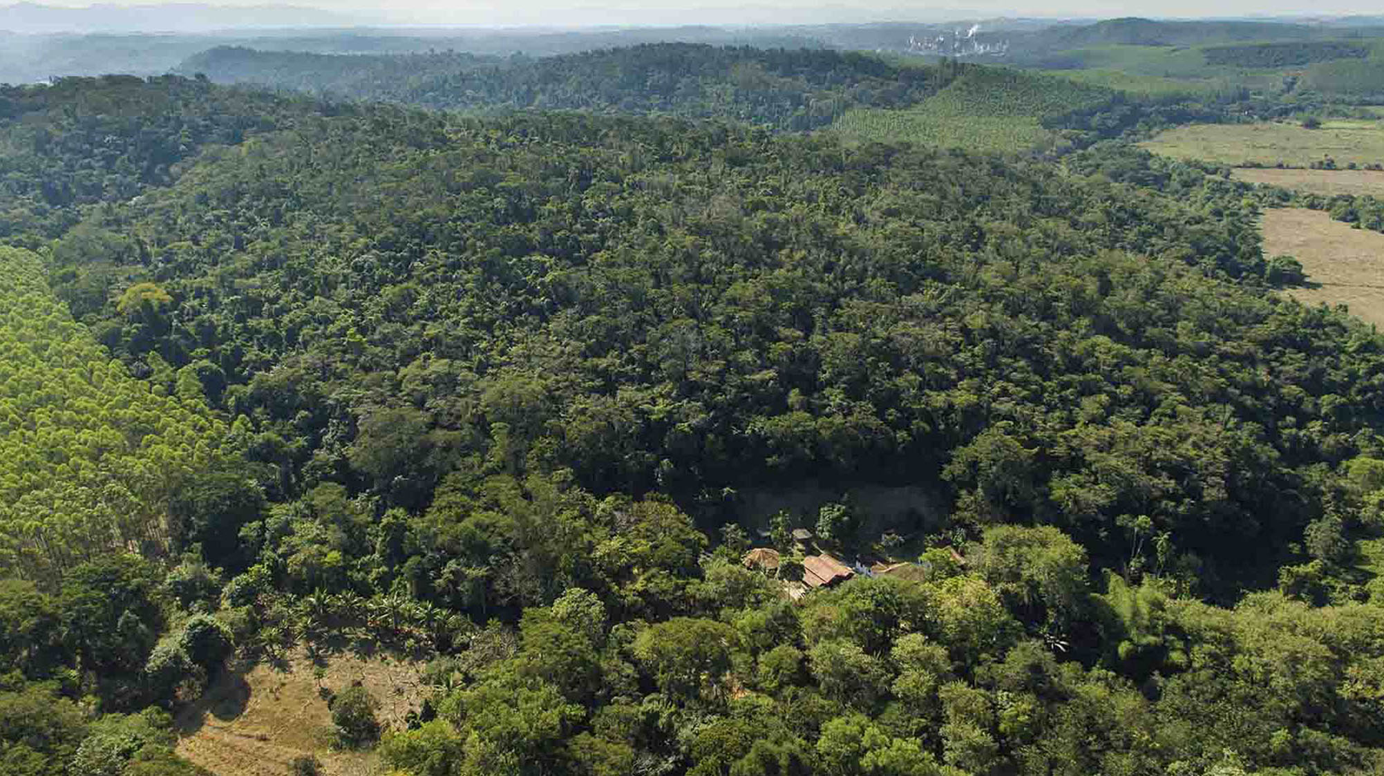 RPPN Fazenda Macedônia, exemplo de responsabilidade socioambiental