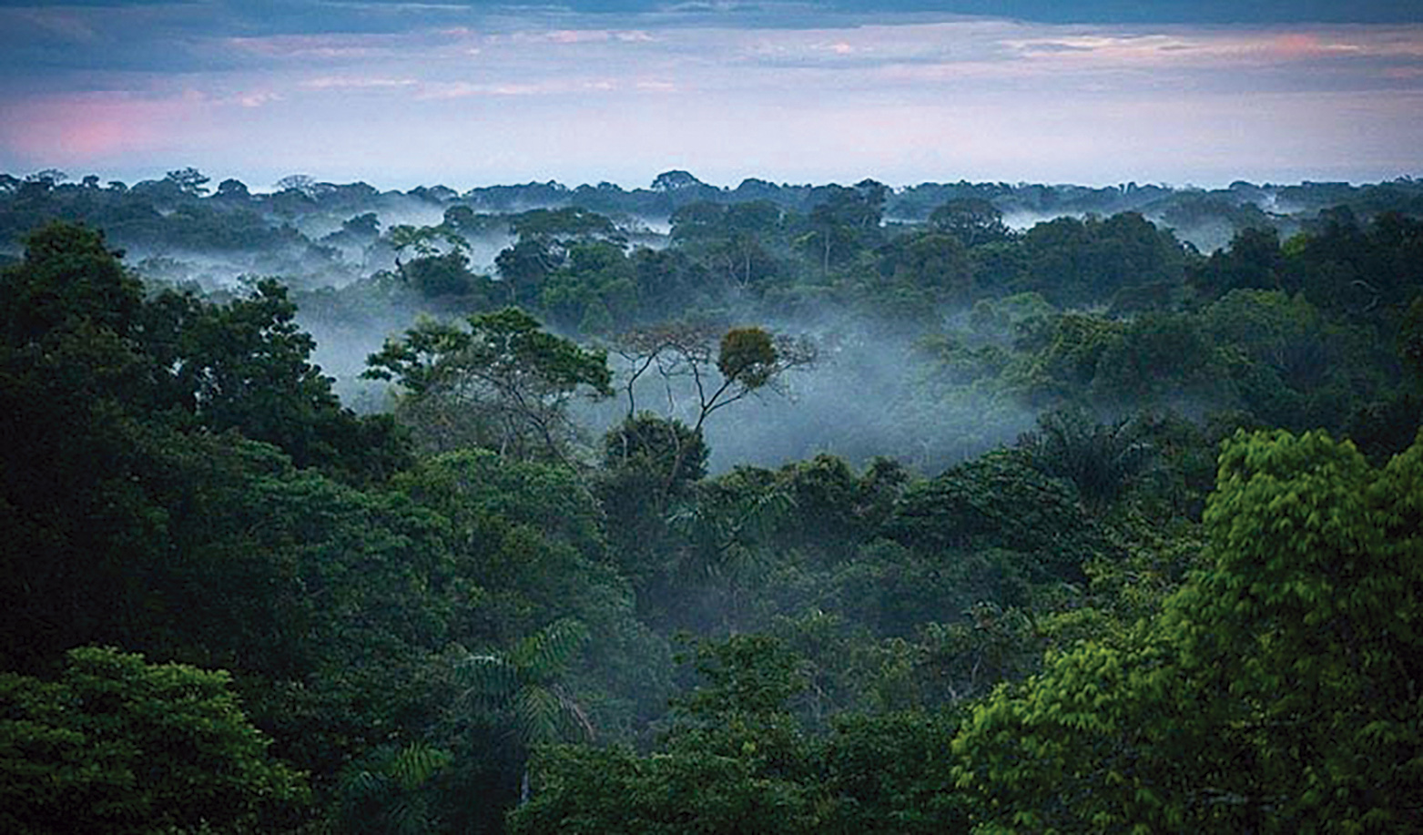 Quando a insensatez da guerra preserva a natureza