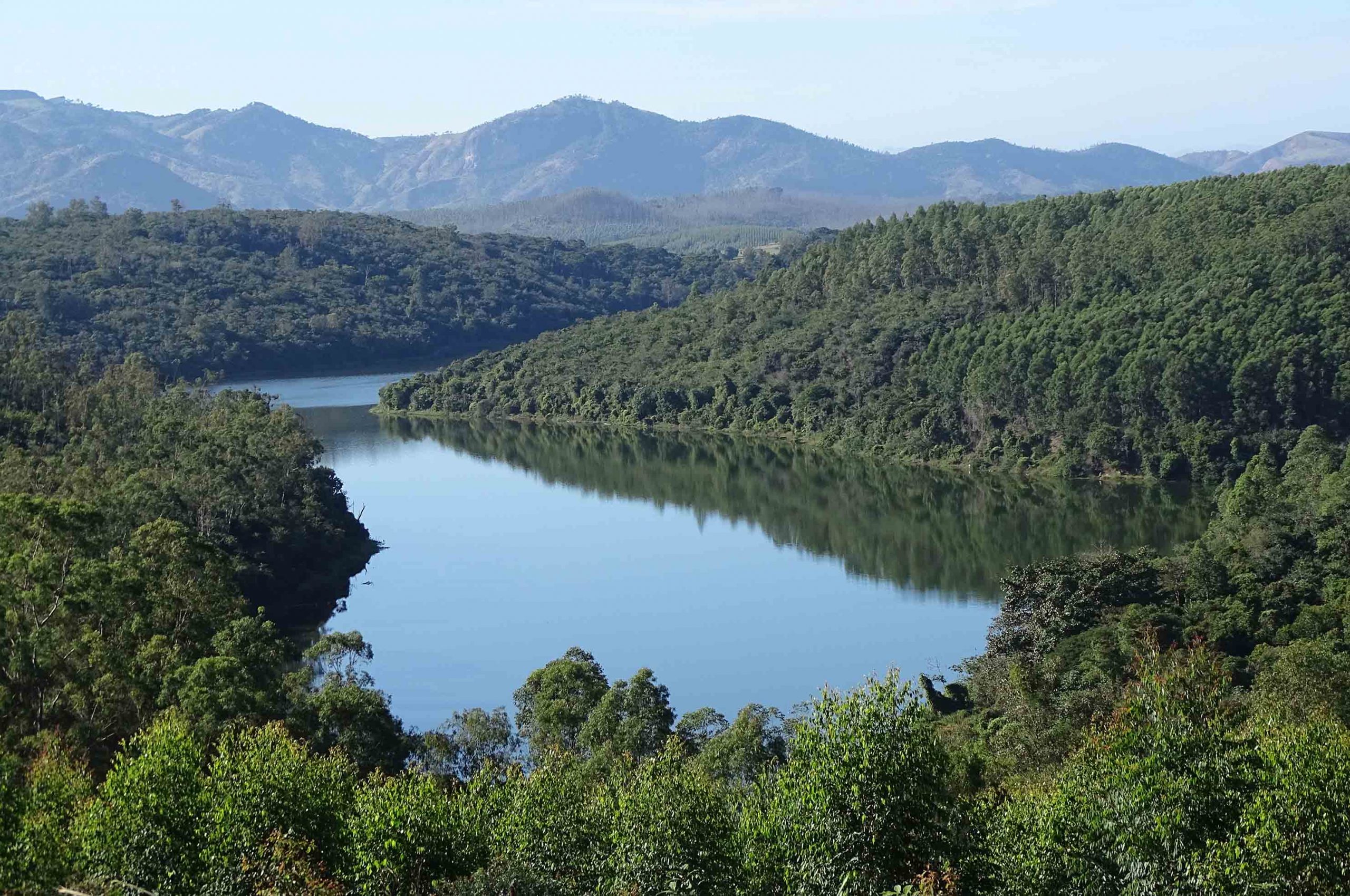 Boas práticas de conservação da biodiversidade e dos recursos hídricos preservam mais de 4,5 mil nascentes em áreas da Cenibra