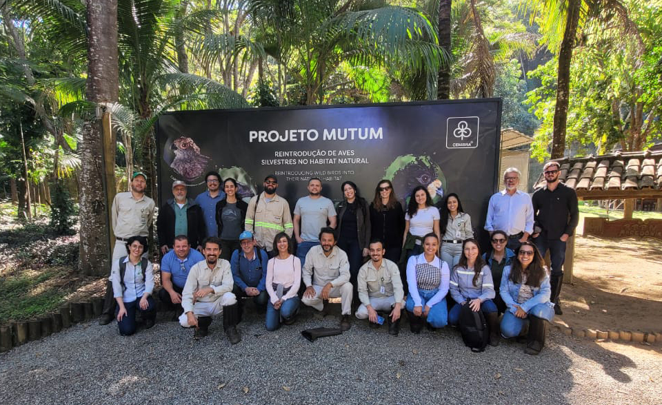 Cenibra discute restauração florestal com empresas de celulose e mineração