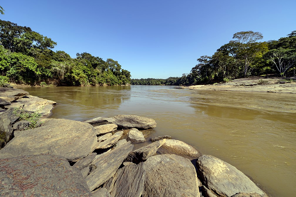 Dia do Rio: preservar e cuidar para garantir água em quantidade e qualidade