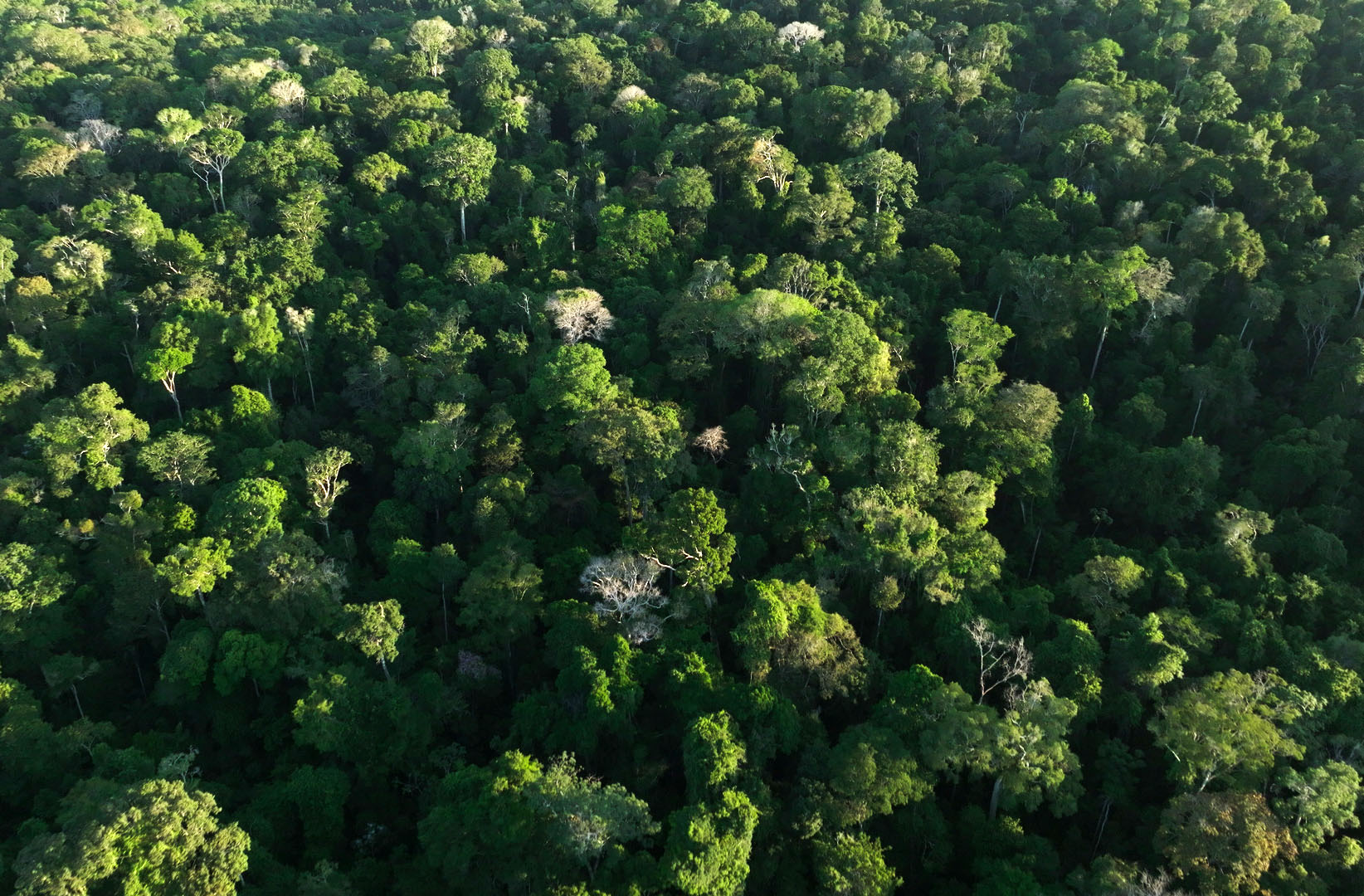 Documentário “Novas Raízes – Escolhas do Futuro” estreia em setembro no Discovery e HBO Max