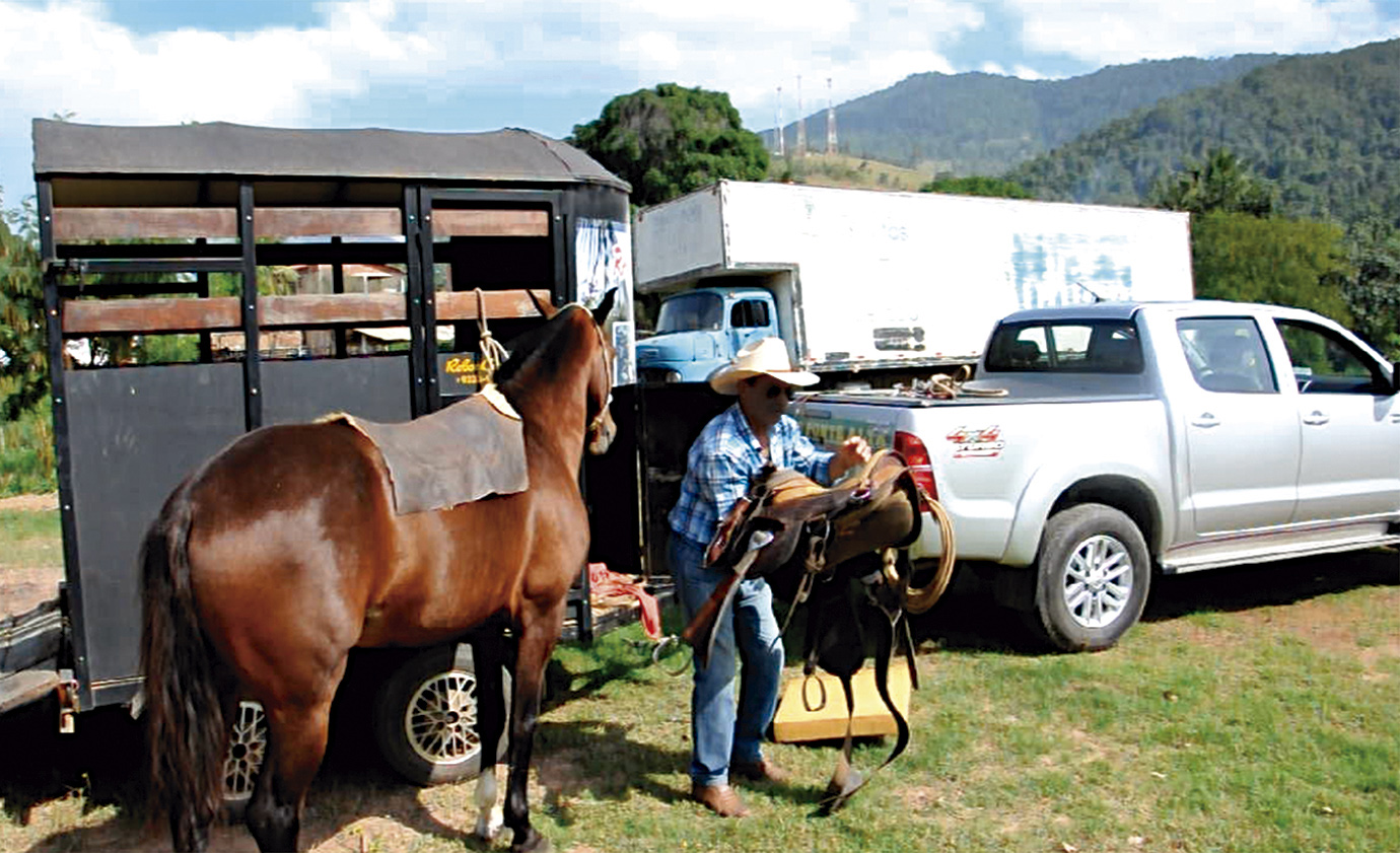 Passaporte Sanitário Equestre dinamisa trânsito de animais em Minas