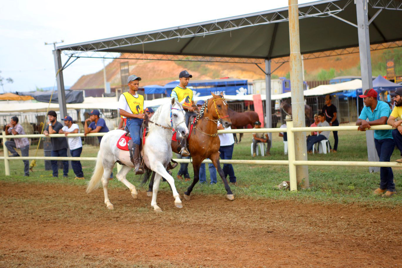 6ª Exposição Mangalarga Marchador movimenta o Vale do Aço com 200 cavalos, gastronomia e shows gratuitos