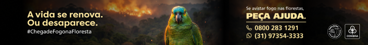 PREVENÇÃO DE INCÊNDIOS 2026
